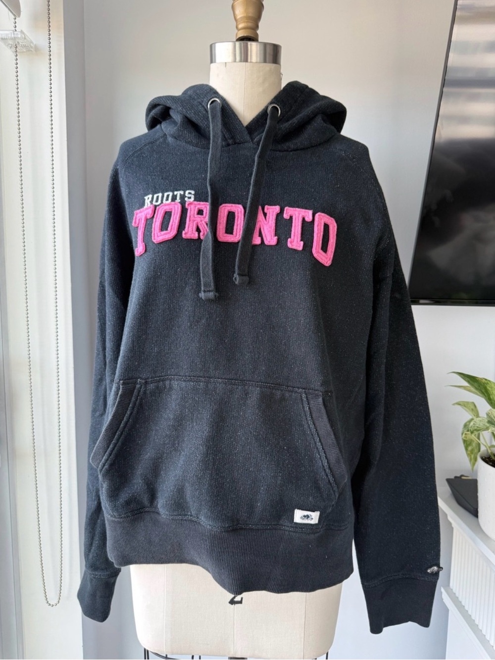 Roots Toronto Hoodie